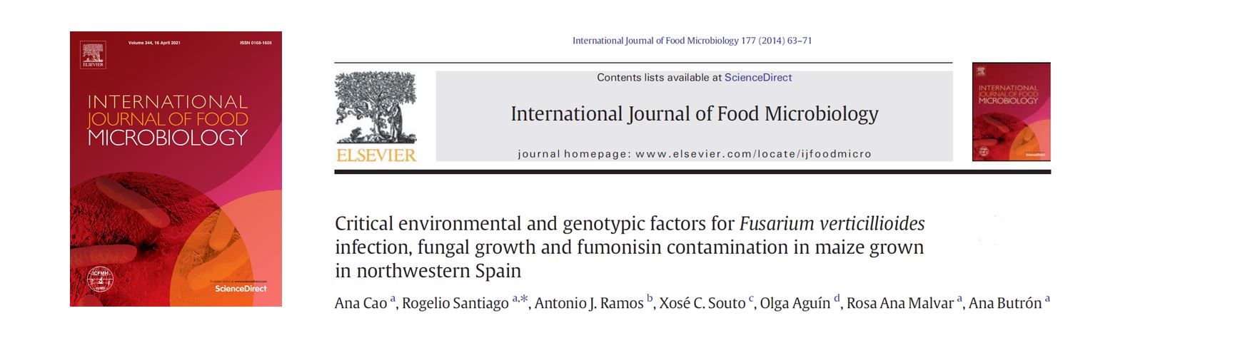 Portada Critical environmental and genotypic factors for Fusarium verticillioides infection, fungal growth and fumonisin contamination in maize grown in northwestern Spain.