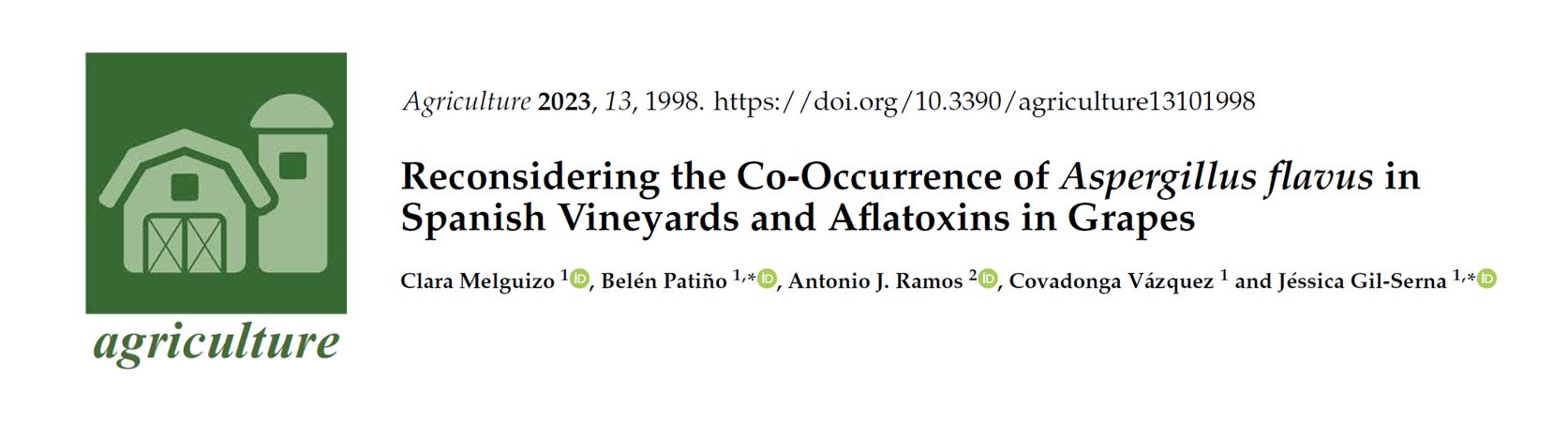 Reconsidering the co-occurrence of Aspergillus flavus in Spanish vineyards and aflatoxinas in grapes.